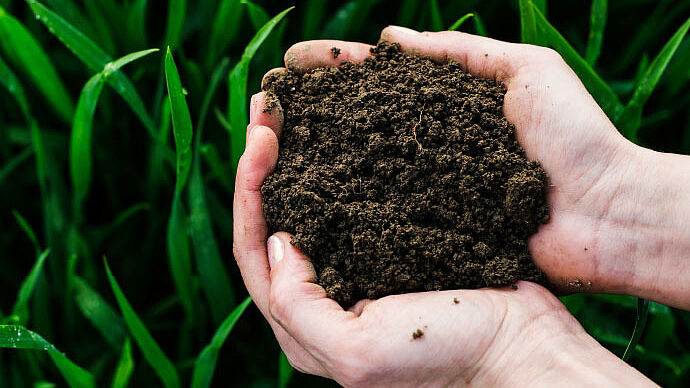 Biostab-Erde, Hände und Gras